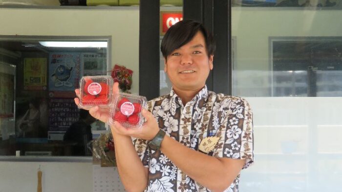 ビオスの丘はうりずんの季節！5月初旬までいちご摘み体験が♪